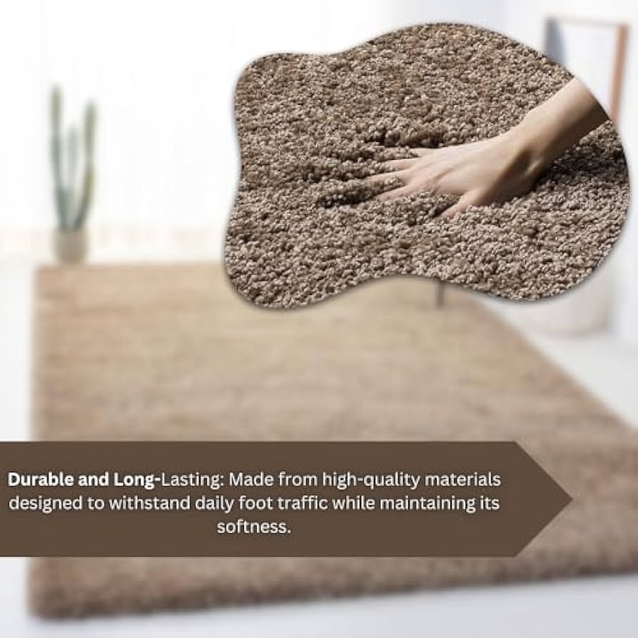 Soft Plush Shag Area Rug, Modern Fluffy Carpet for Bedroom, Living Room Bedroom, Kichen, KidsRoom etc.CLR-1, Size 16x24 Inch