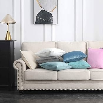 61Jb8SkRIgL._AC_UF350,350_QL80_