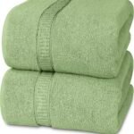 Microfiber Towels for Bath Large Size-Super Soft Coral Fleece Bathing Towel with Hook Quick Dry Super Absorbent-Bath Towel for Men and Women-70x140 cm (2, Pista)